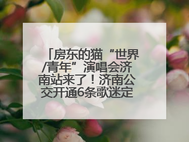 房东的猫“世界/青年”演唱会济南站来了！济南公交开通6条歌迷定制专线